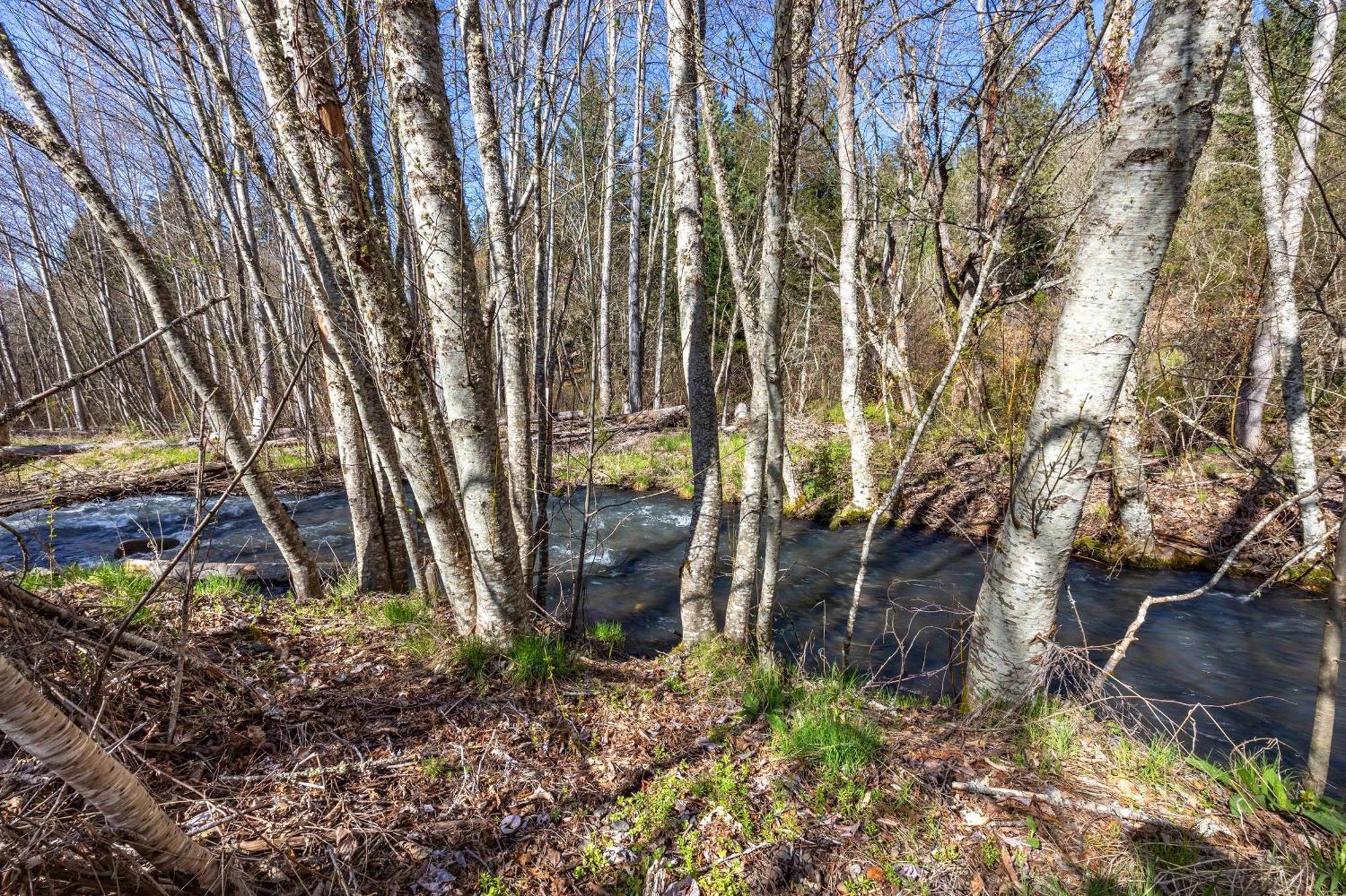 فيلا Neal Creek Retreat Mount Hood المظهر الخارجي الصورة